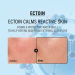 کرم مرطوب کننده و تقویت کننده سد دفاعی پوست اپی EPPI مدل ECOTOIN & PANTHENOL - تصویر 4