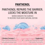 کرم مرطوب کننده و تقویت کننده سد دفاعی پوست اپی EPPI مدل ECOTOIN & PANTHENOL - تصویر 3